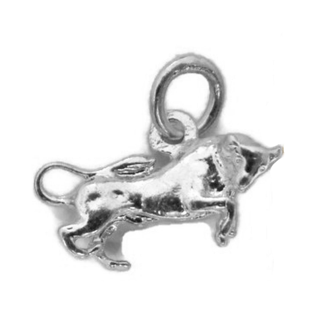Taurus Horoscope Zodiac Sign Unisex Pendant Taurus Horoscope Zodiac Sign Unisex Pendant